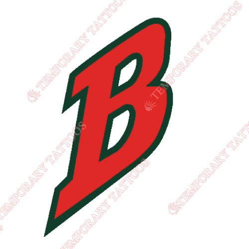 Buffalo Bisons Customize Temporary Tattoos Stickers NO.7930